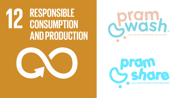 Doing Our Part To Contribute To A Sustainable Future - PramWash & PramShare